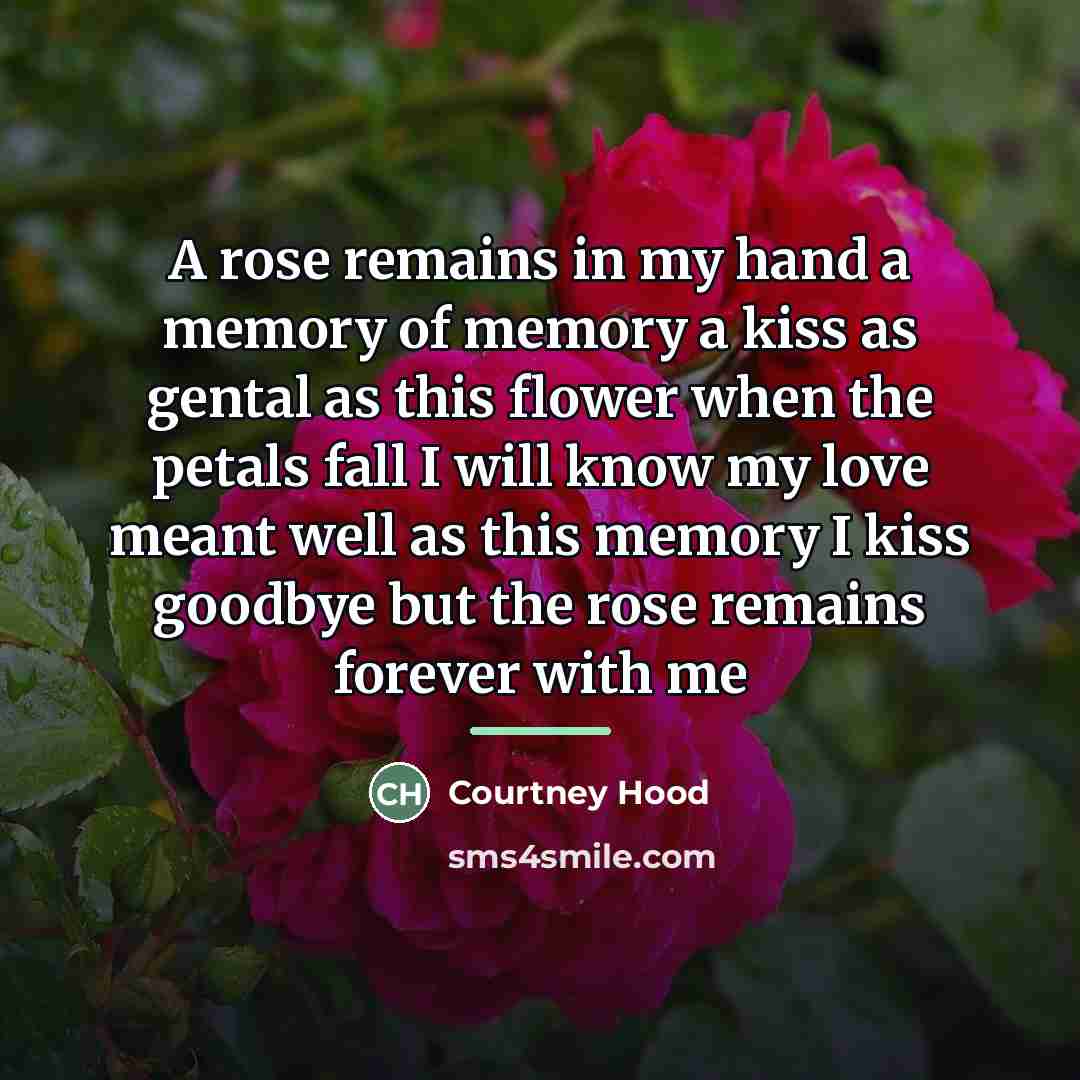 “A rose remains in my hand a memory of memory…” quote by Courtney Hood