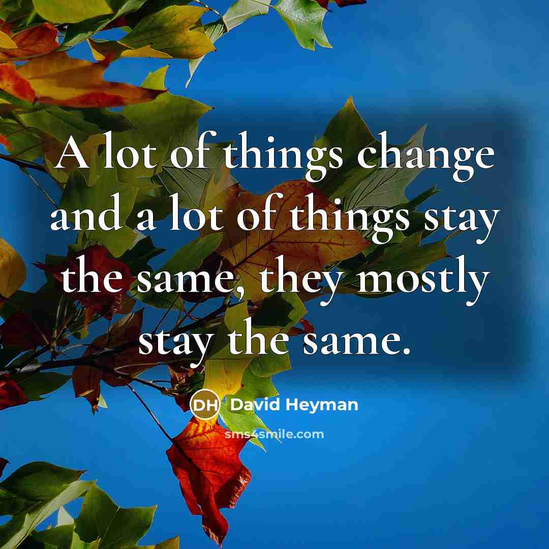 “A lot of things change and a lot of things…” quote by David Heyman