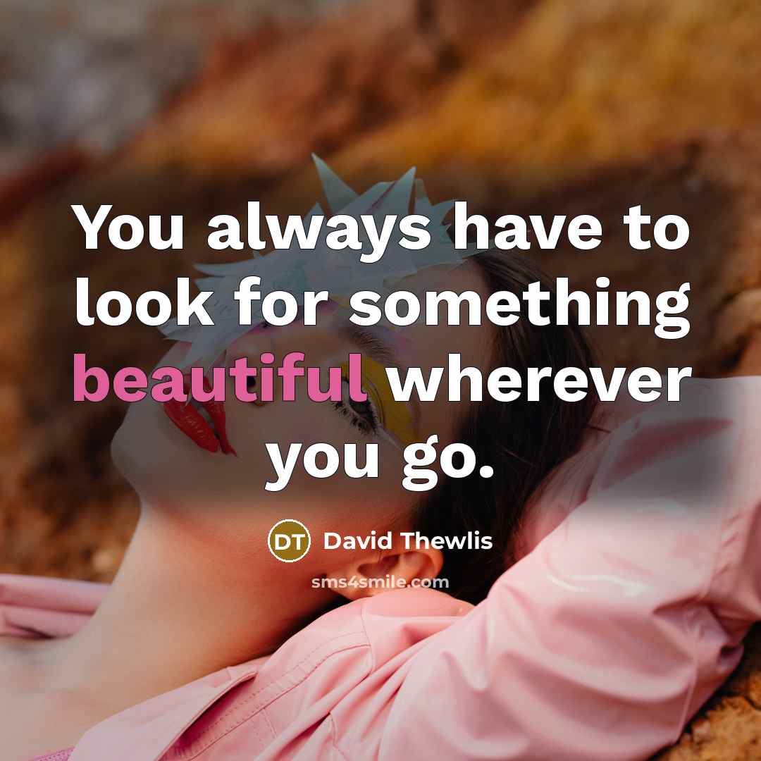 “You always have to look for something beautiful wherever you…” quote by David Thewlis