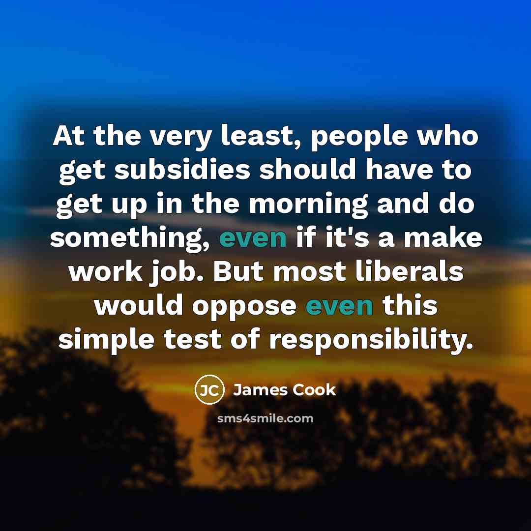 “At the very least, people who get subsidies should have…” quote by James Cook