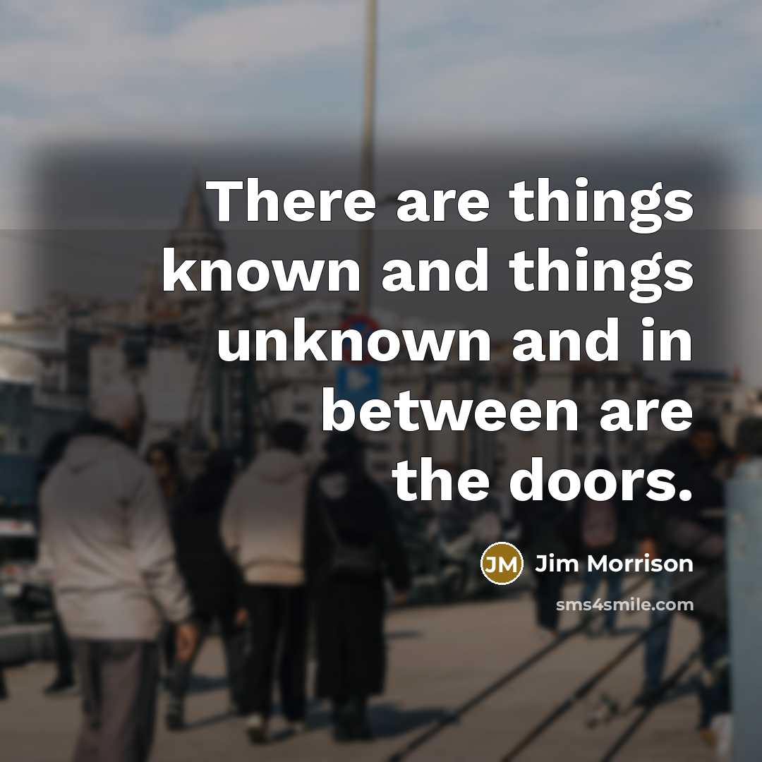 “There are things known and things unknown and in between…” quote by Jim Morrison