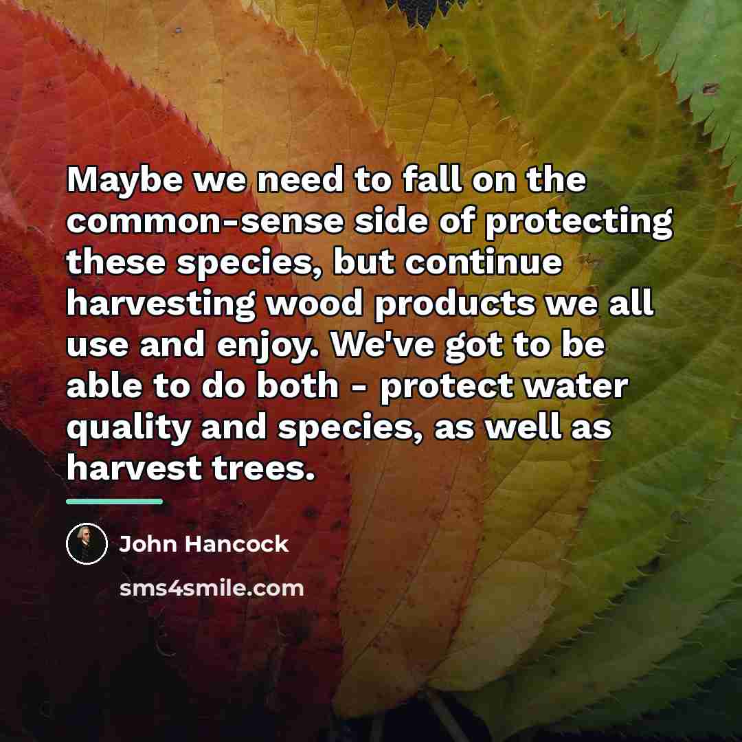 “Maybe we need to fall on the common-sense side of…” quote by John Hancock