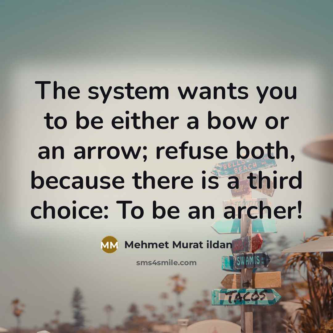 “The system wants you to be either a bow or…” quote by Mehmet Murat Ildan