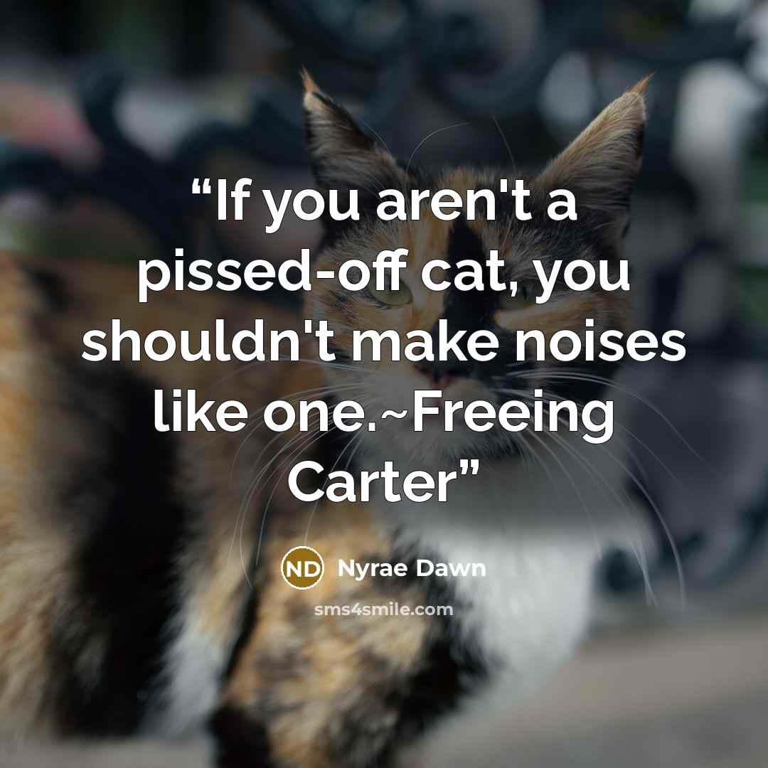 “If you aren't a pissed-off cat, you shouldn't make noises like one.~Freeing Carter” quote by Nyrae Dawn