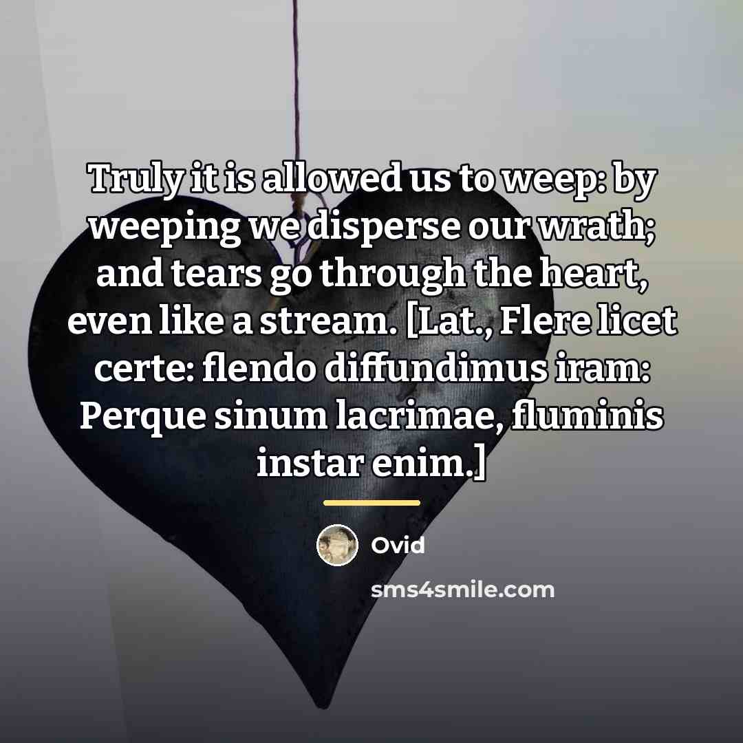 “Truly it is allowed us to weep: by weeping we…” quote by Ovid