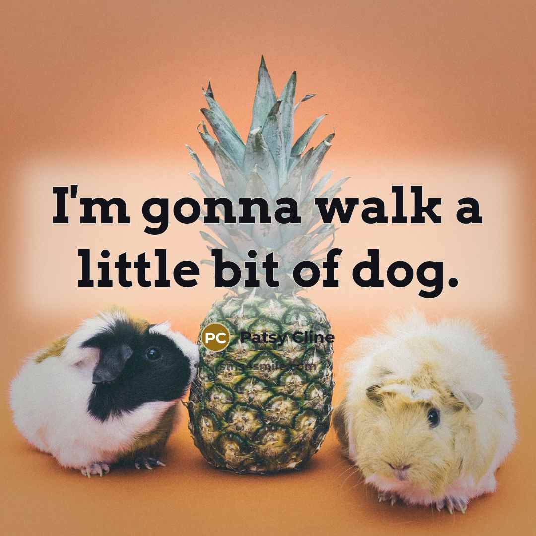 “I'm gonna walk a little bit of dog.” quote by Patsy Cline