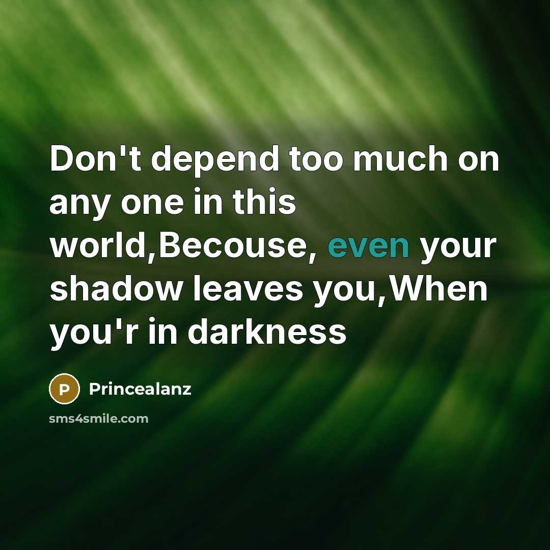 “Don't depend too much on any one in this world,Becouse,…” quote by Princealanz