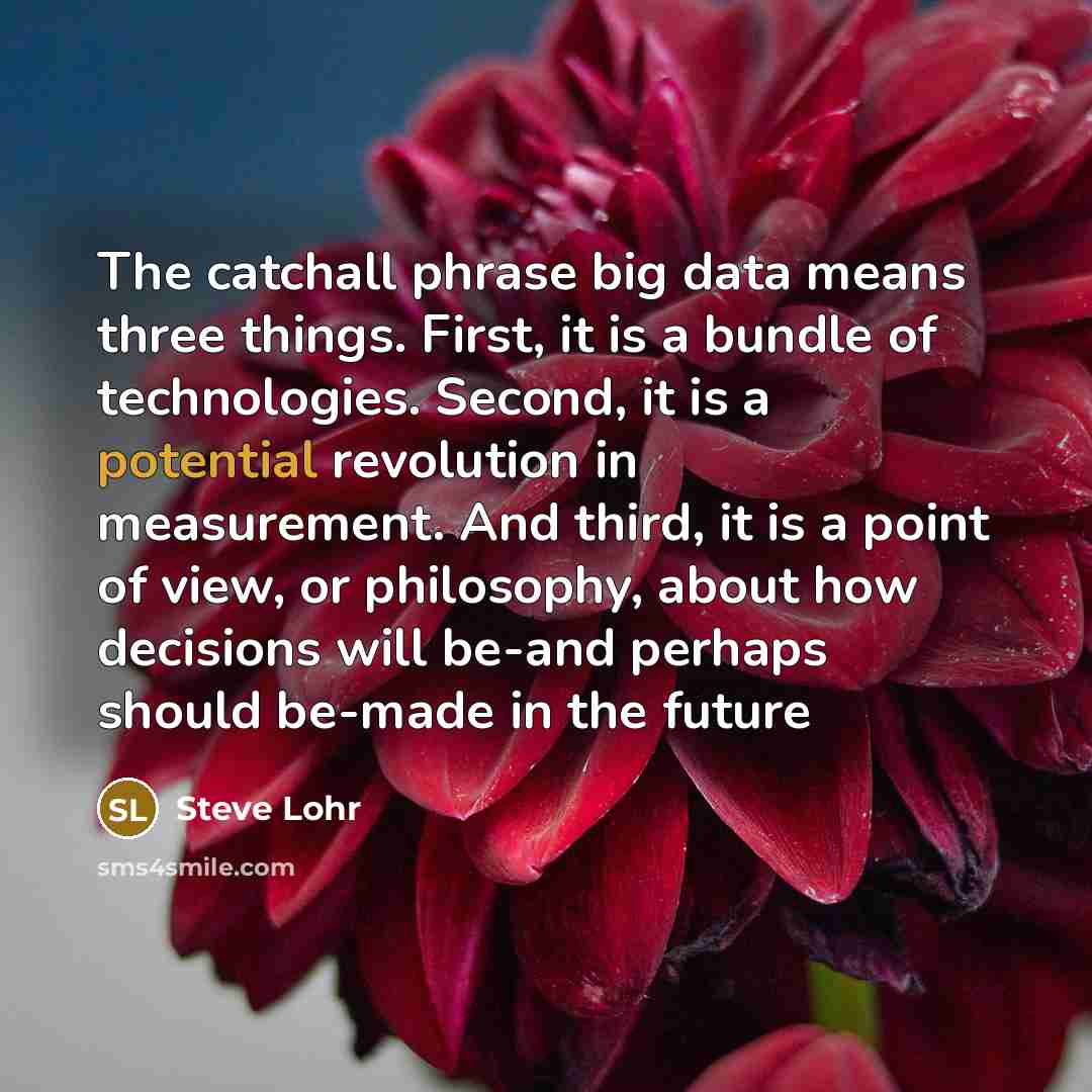 “The catchall phrase big data means three things. First, it…” quote by Steve Lohr
