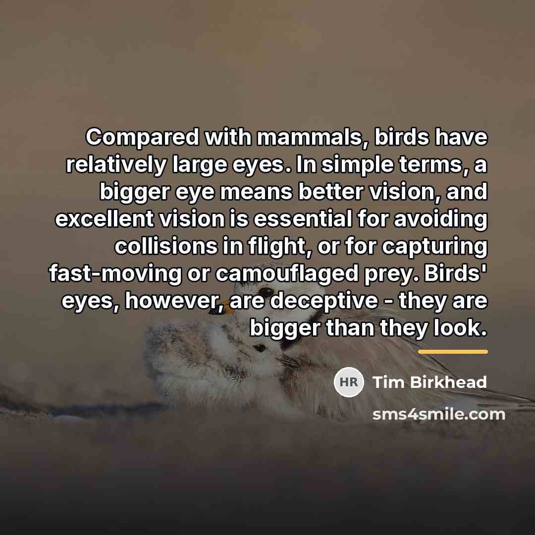 “Compared with mammals, birds have relatively large eyes. In simple…” quote by Tim Birkhead