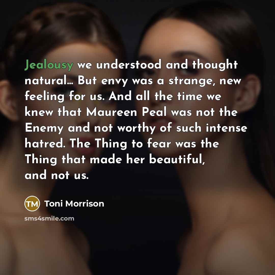 “Jealousy we understood and thought natural... But envy was a…” quote by Toni Morrison