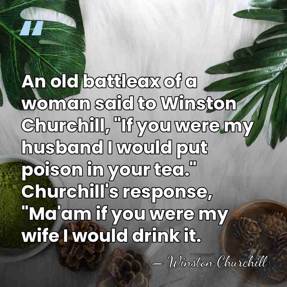 An old battleax of a woman said to Winston Churchill, "If you&hellip; - Winston Churchill