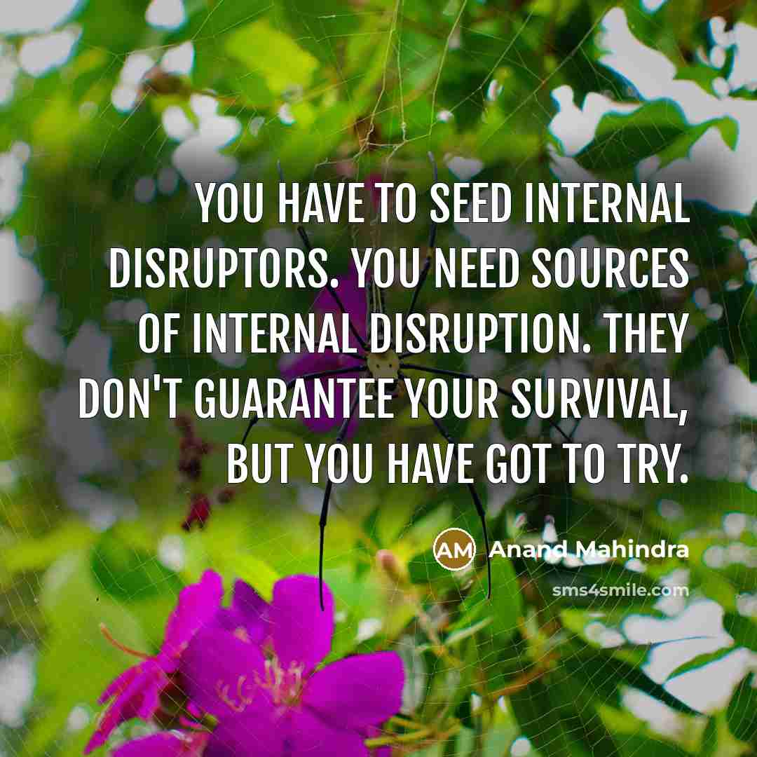 “You have to seed internal disruptors. You need sources of…” quote by Anand Mahindra
