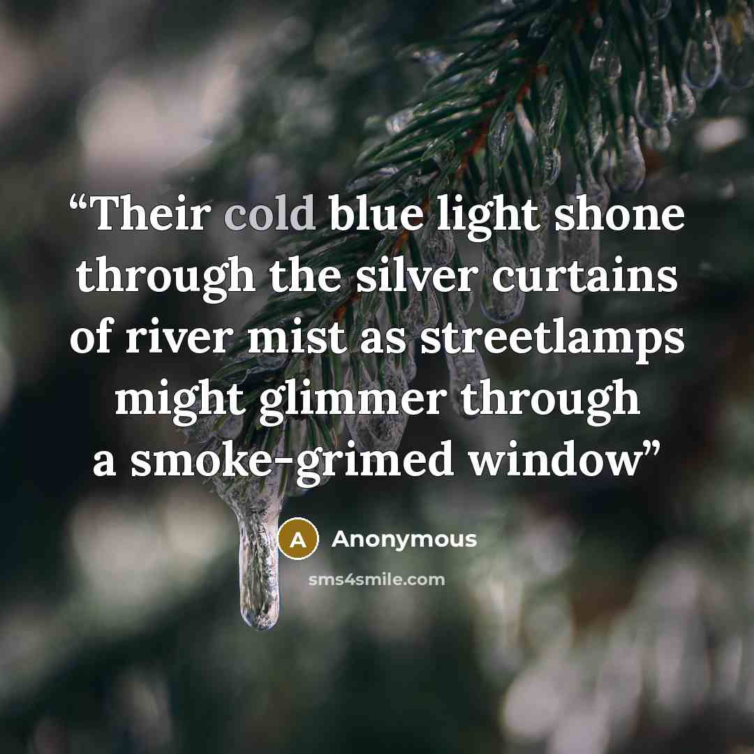 “Their cold blue light shone through the silver curtains of river mist as streetlamps might glimmer through a smoke-grimed window” quote by Anonymous