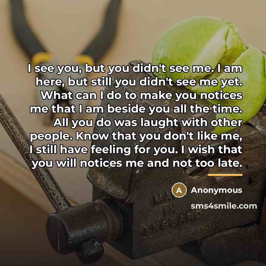 “I see you, but you didn't see me. I am…” quote by Anonymous