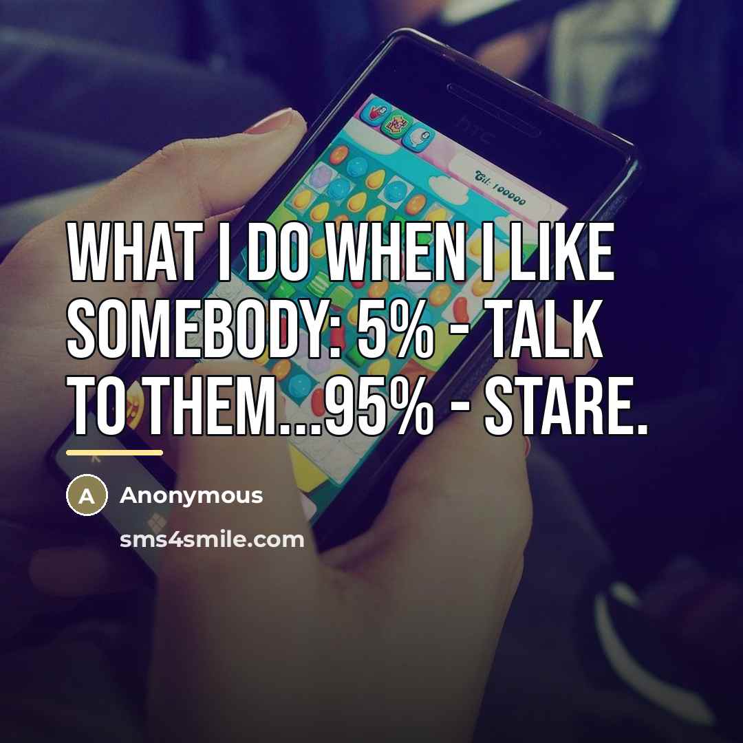 “What I do when I like somebody: 5% - Talk…” quote by Anonymous