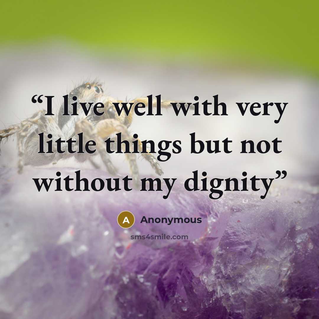 “I live well with very little things but not without my dignity” quote by Anonymous