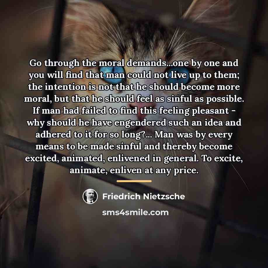 “Go through the moral demands...one by one and you will…” quote by Friedrich Nietzsche