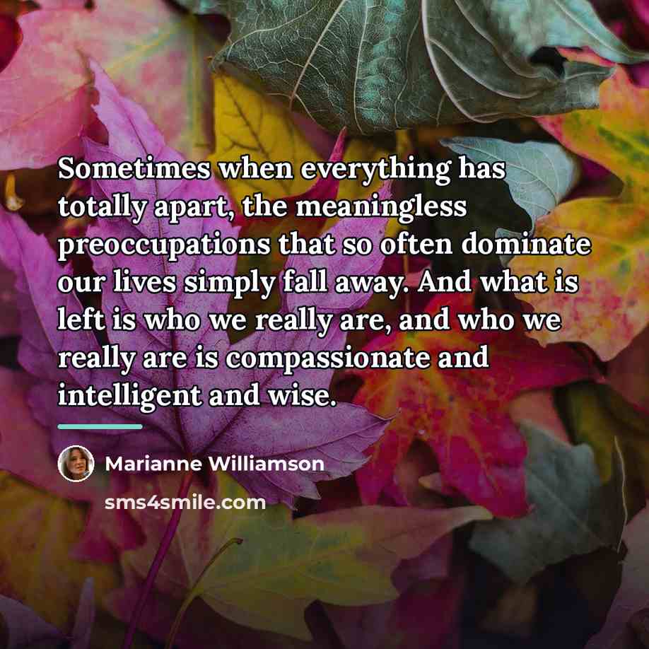 “Sometimes when everything has totally apart, the meaningless preoccupations that…” quote by Marianne Williamson