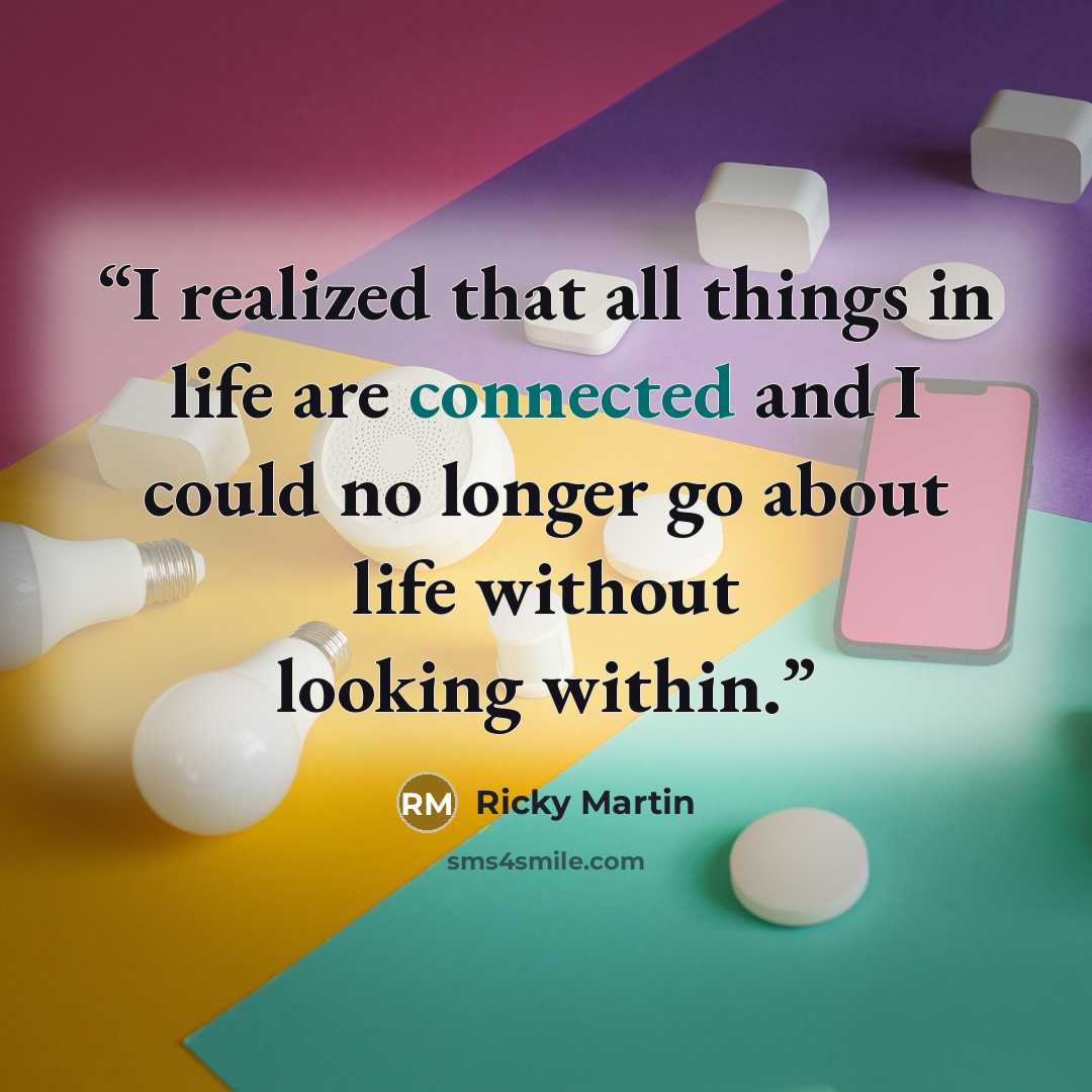“I realized that all things in life are connected and I could no longer go about life without looking within.” quote by Ricky Martin
