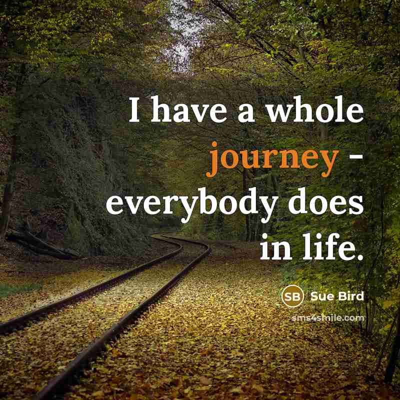 “I have a whole journey - everybody does in life.…” quote by Sue Bird