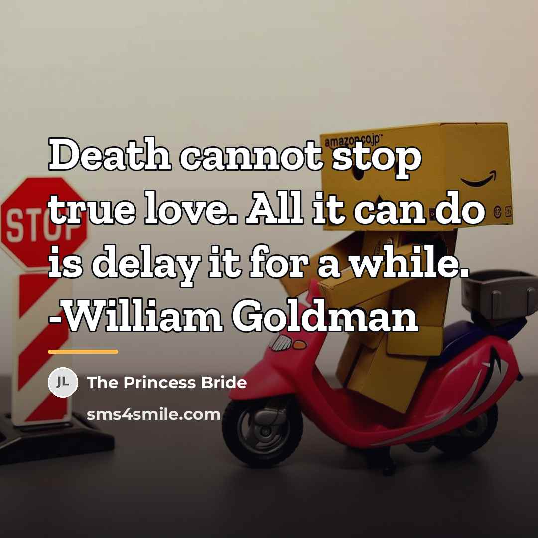 “Death cannot stop true love. All it can do is…” quote by The Princess Bride