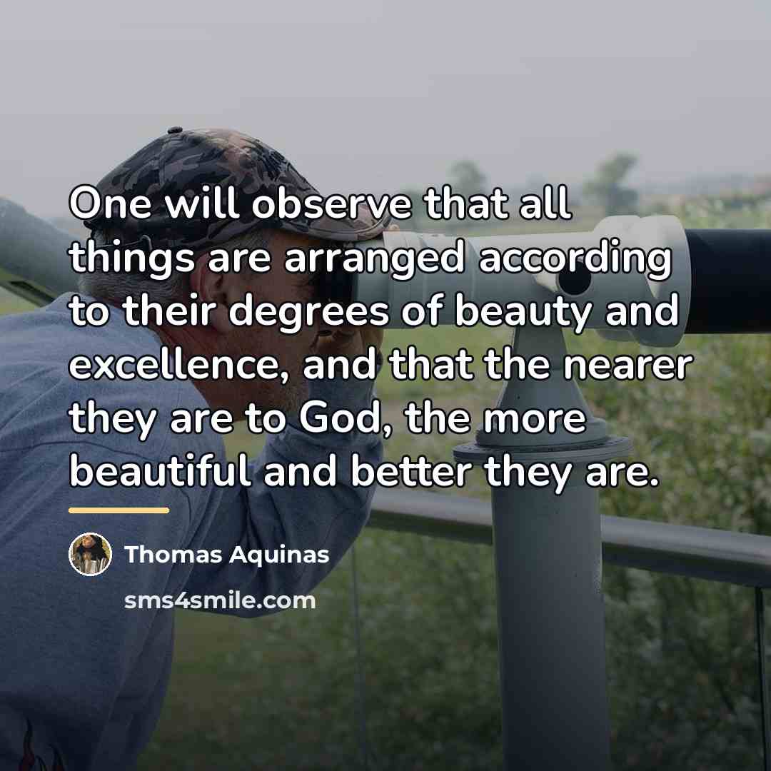 “One will observe that all things are arranged according to…” quote by Thomas Aquinas