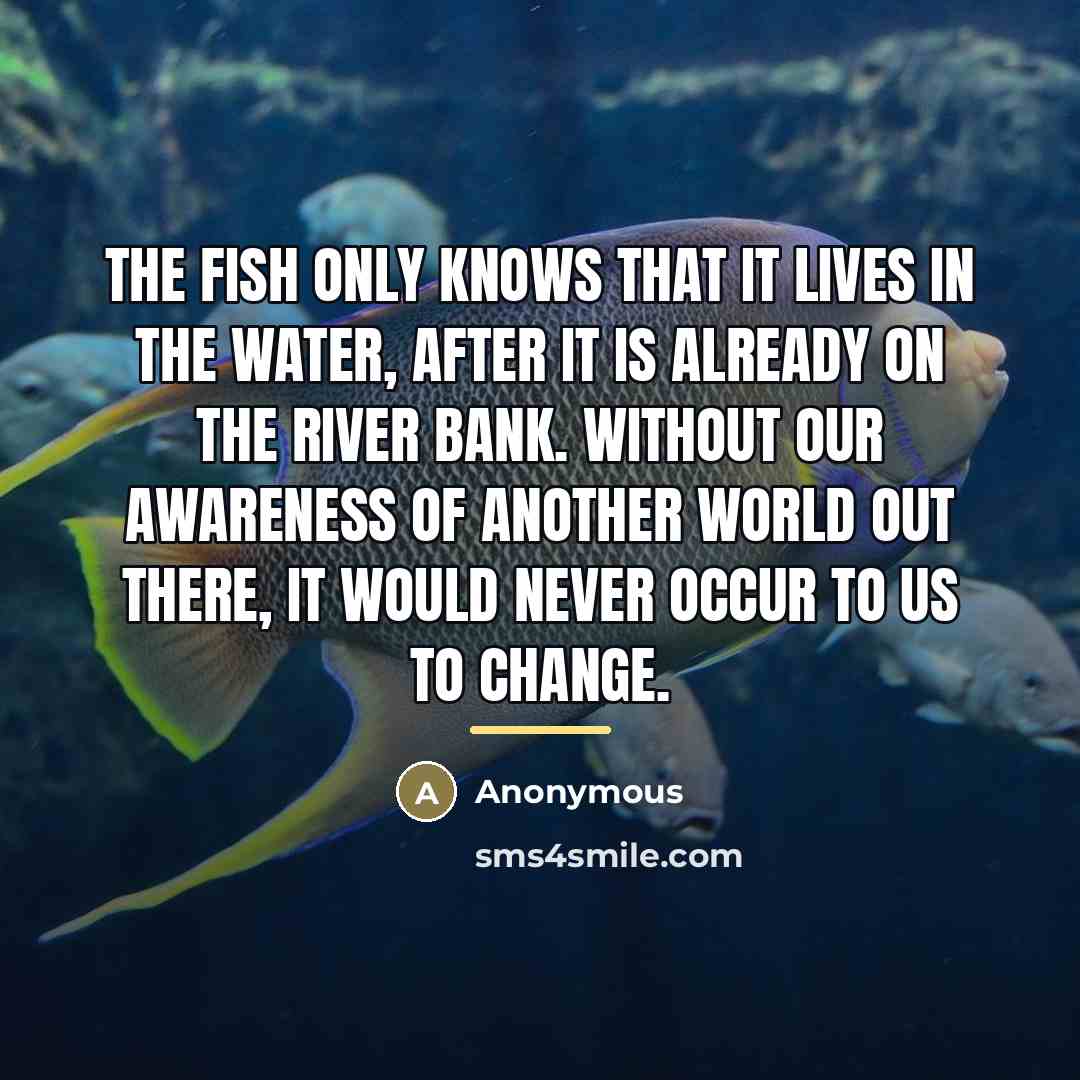 “The fish only knows that it lives in the water,…” quote by Anonymous