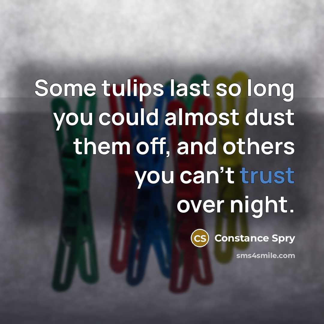 “Some tulips last so long you could almost dust them…” quote by Constance Spry