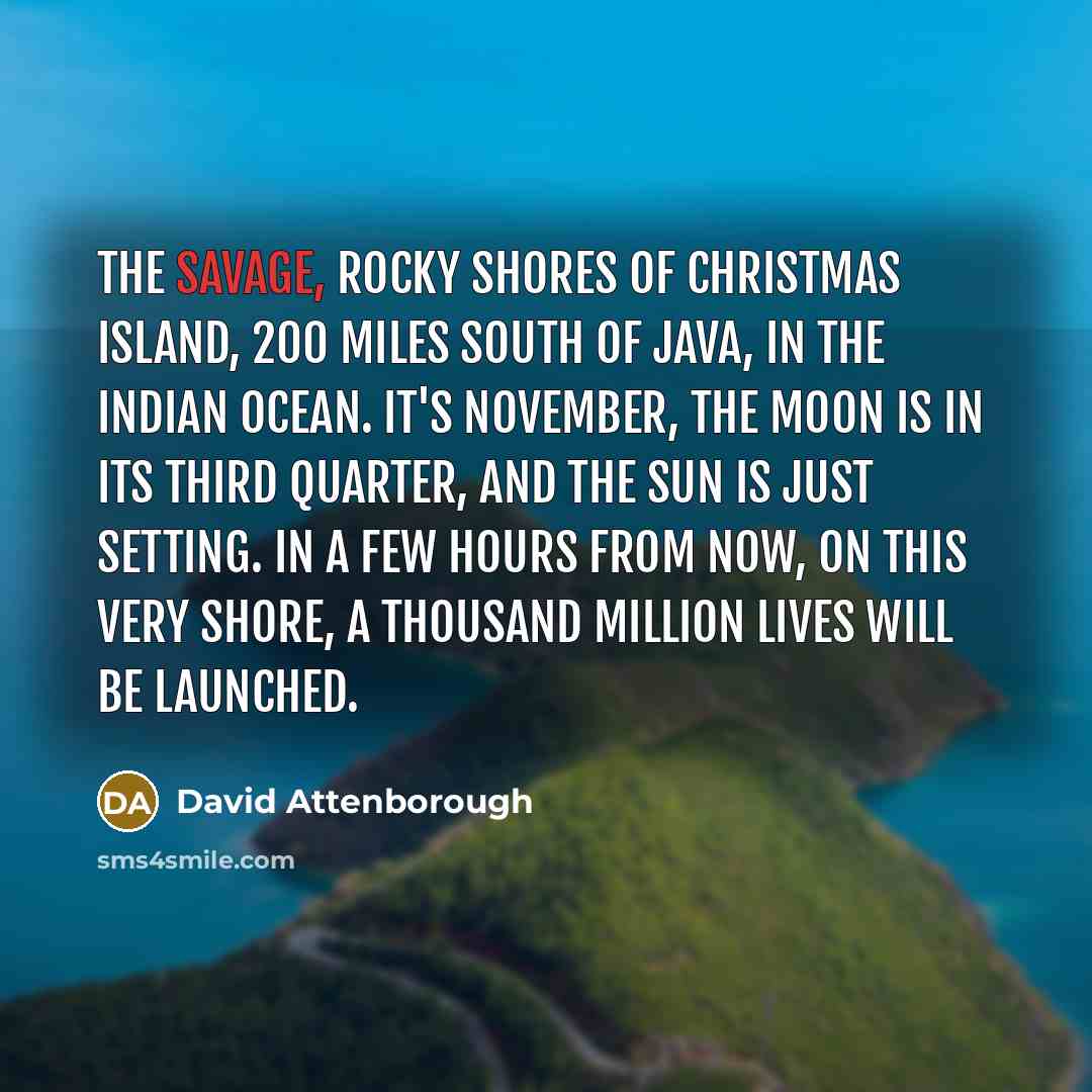 “The savage, rocky shores of Christmas Island, 200 miles south…” quote by David Attenborough