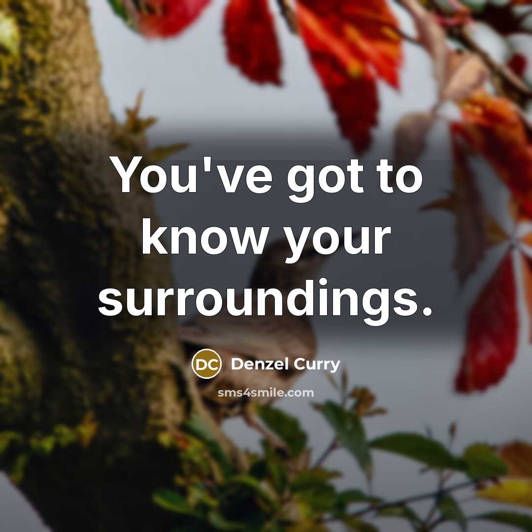 “You've got to know your surroundings.…” quote by Denzel Curry