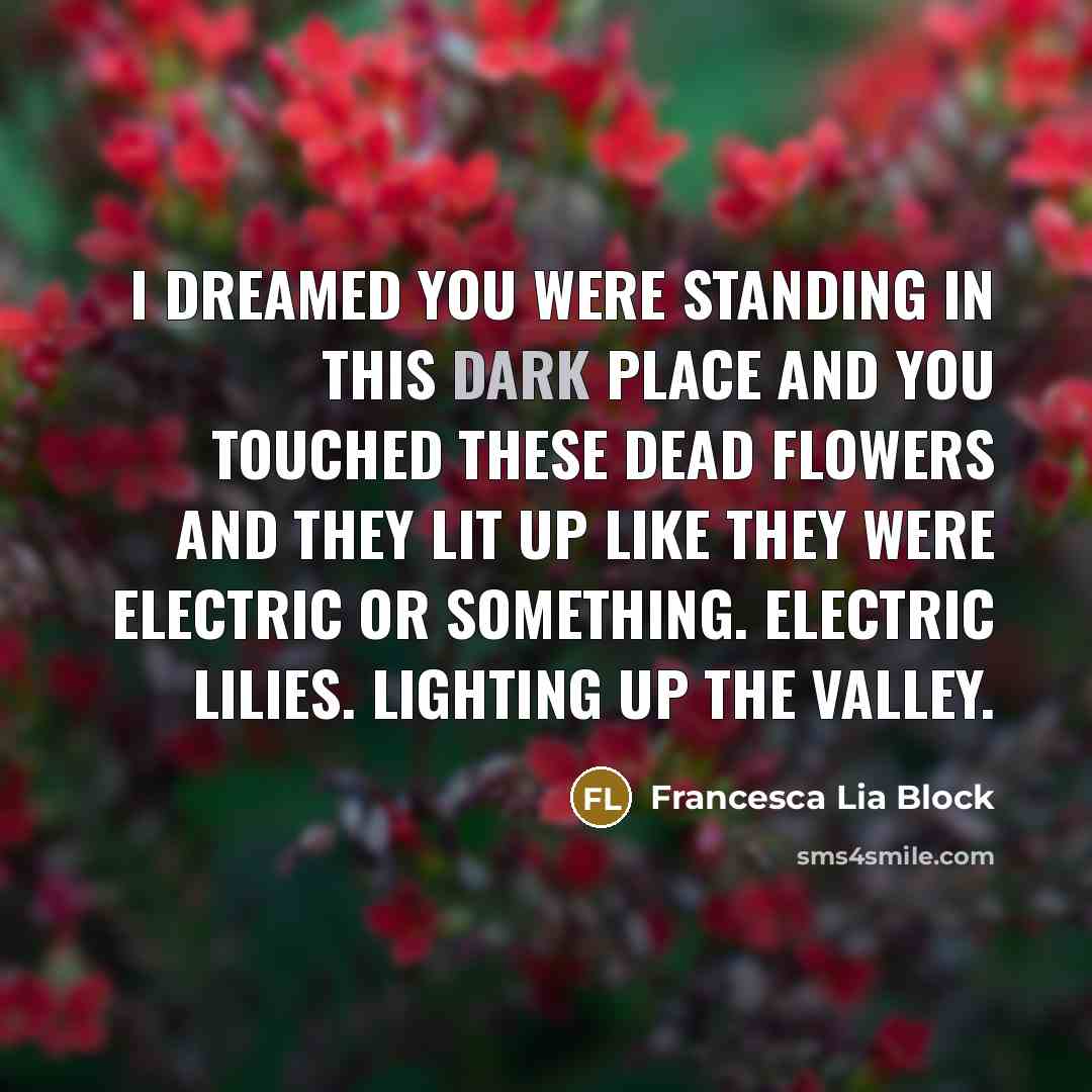 “I dreamed you were standing in this dark place and…” quote by Francesca Lia Block