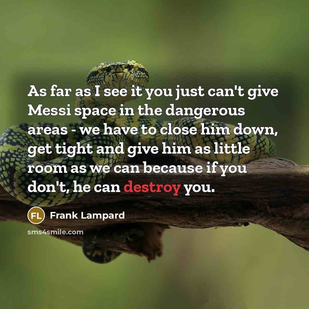 “As far as I see it you just can't give…” quote by Frank Lampard