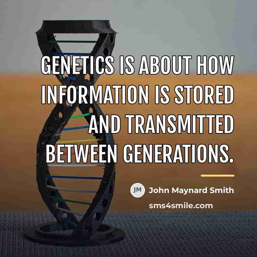 “Genetics is about how information is stored and transmitted between…” quote by John Maynard Smith
