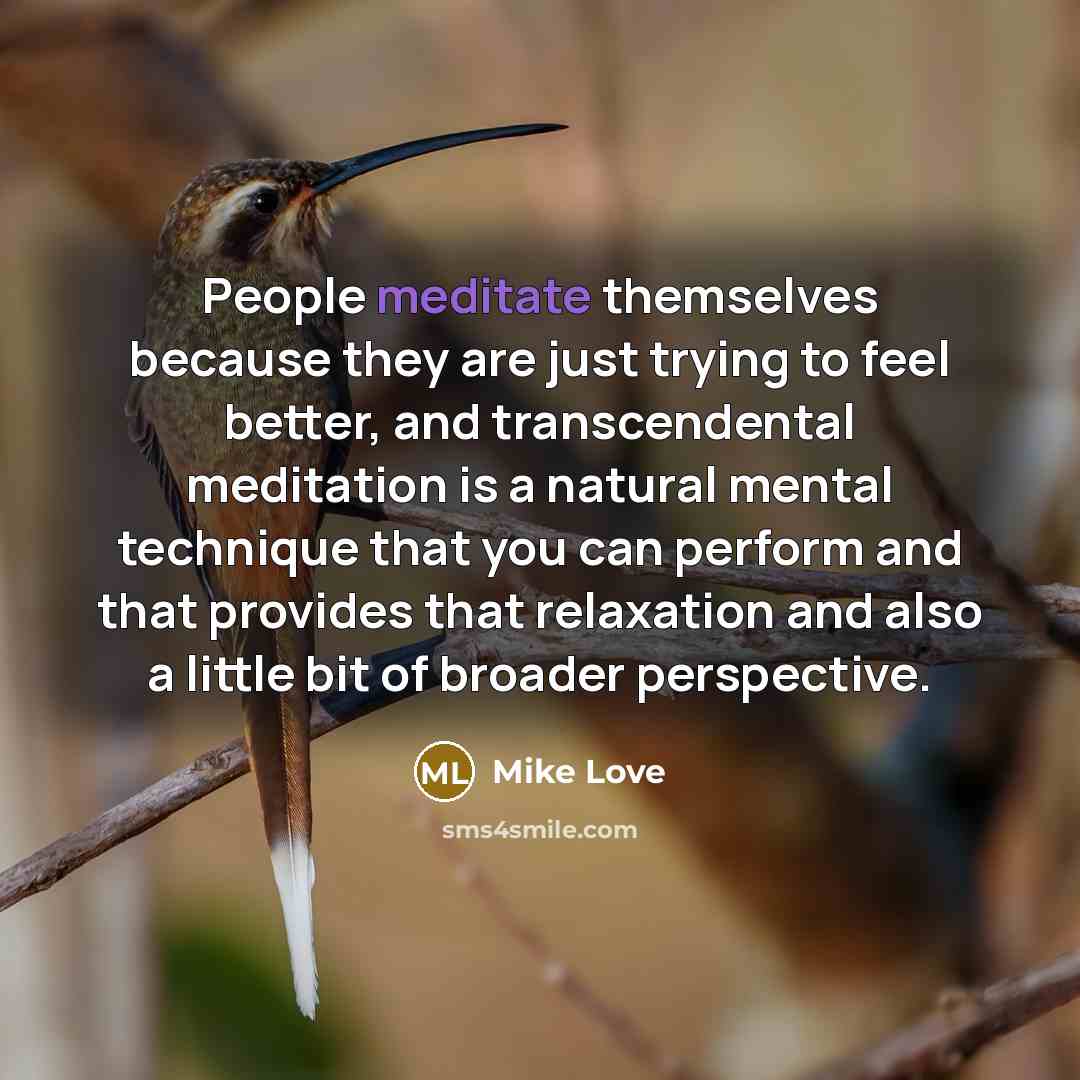 “People meditate themselves because they are just trying to feel…” quote by Mike Love