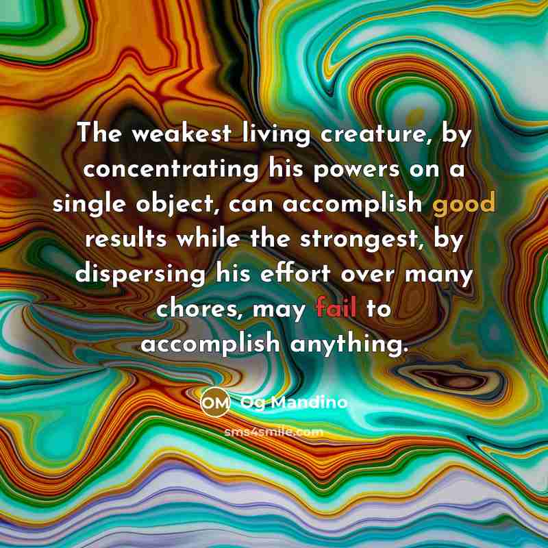 “The weakest living creature, by concentrating his powers on a…” quote by Og Mandino