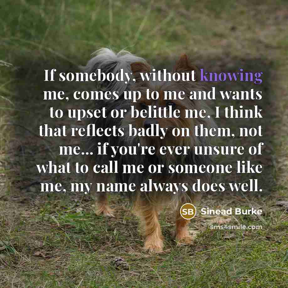 “If somebody, without knowing me, comes up to me and…” quote by Sinead Burke