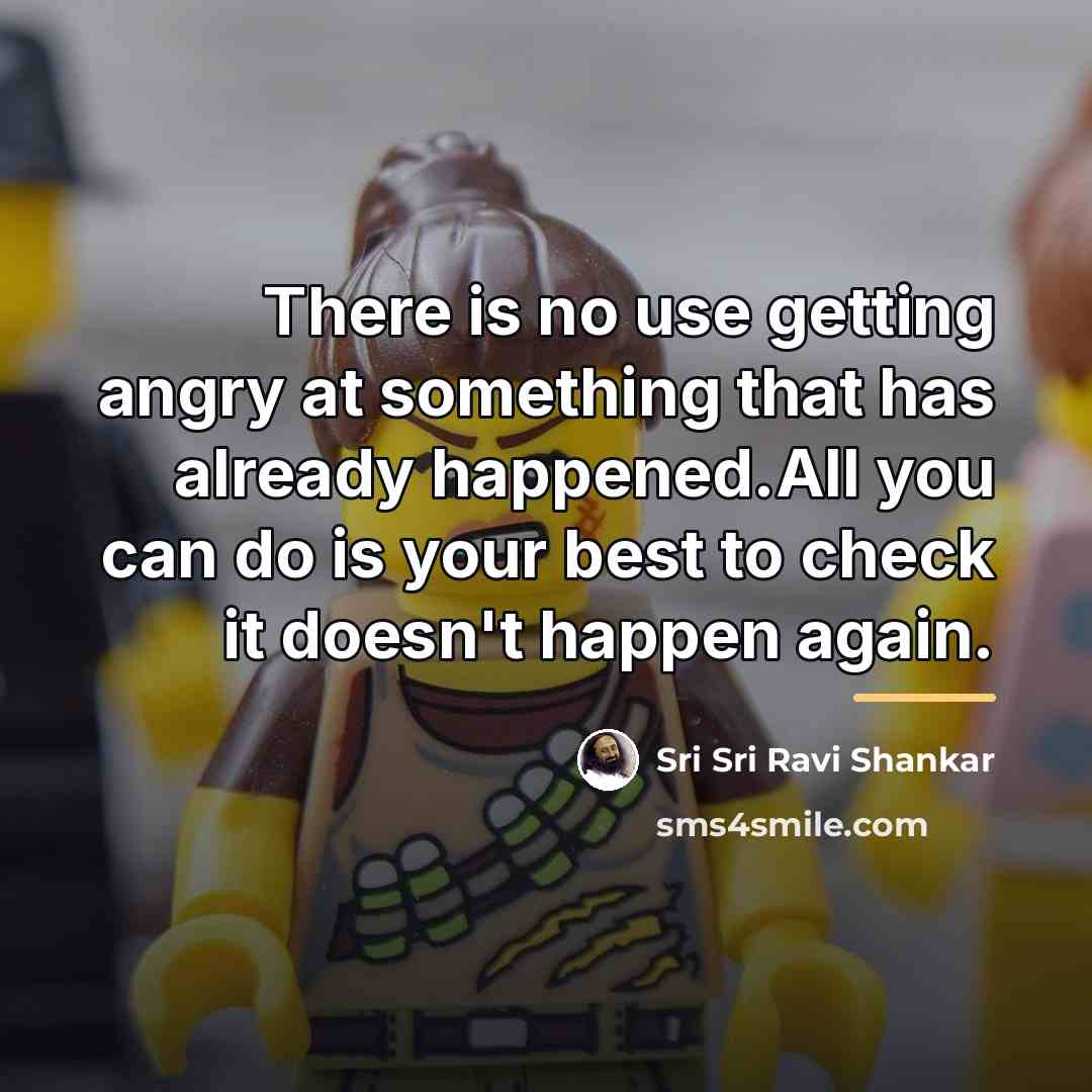 “There is no use getting angry at something that has…” quote by Sri Sri Ravi Shankar