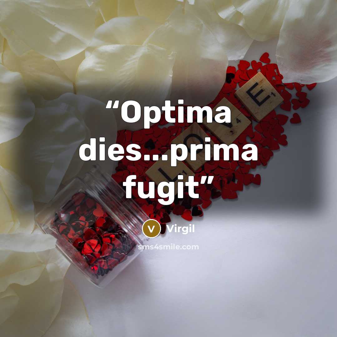 “Optima dies...prima fugit” quote by Virgil