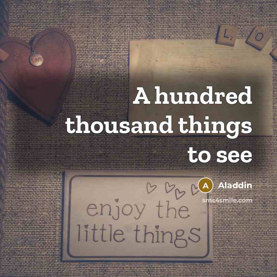“A hundred thousand things to see” quote by Aladdin