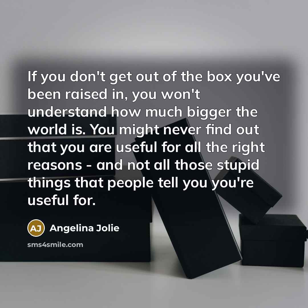 “If you don't get out of the box you've been…” quote by Angelina Jolie