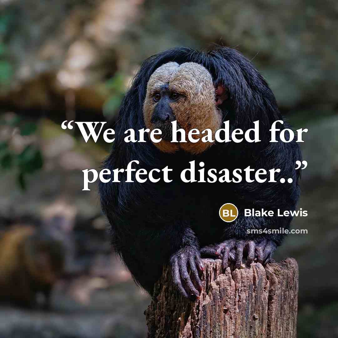 “We are headed for perfect disaster..” quote by Blake Lewis