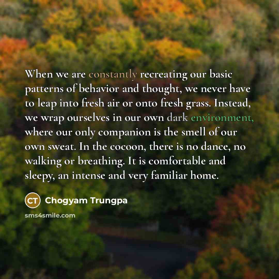 “When we are constantly recreating our basic patterns of behavior…” quote by Chogyam Trungpa