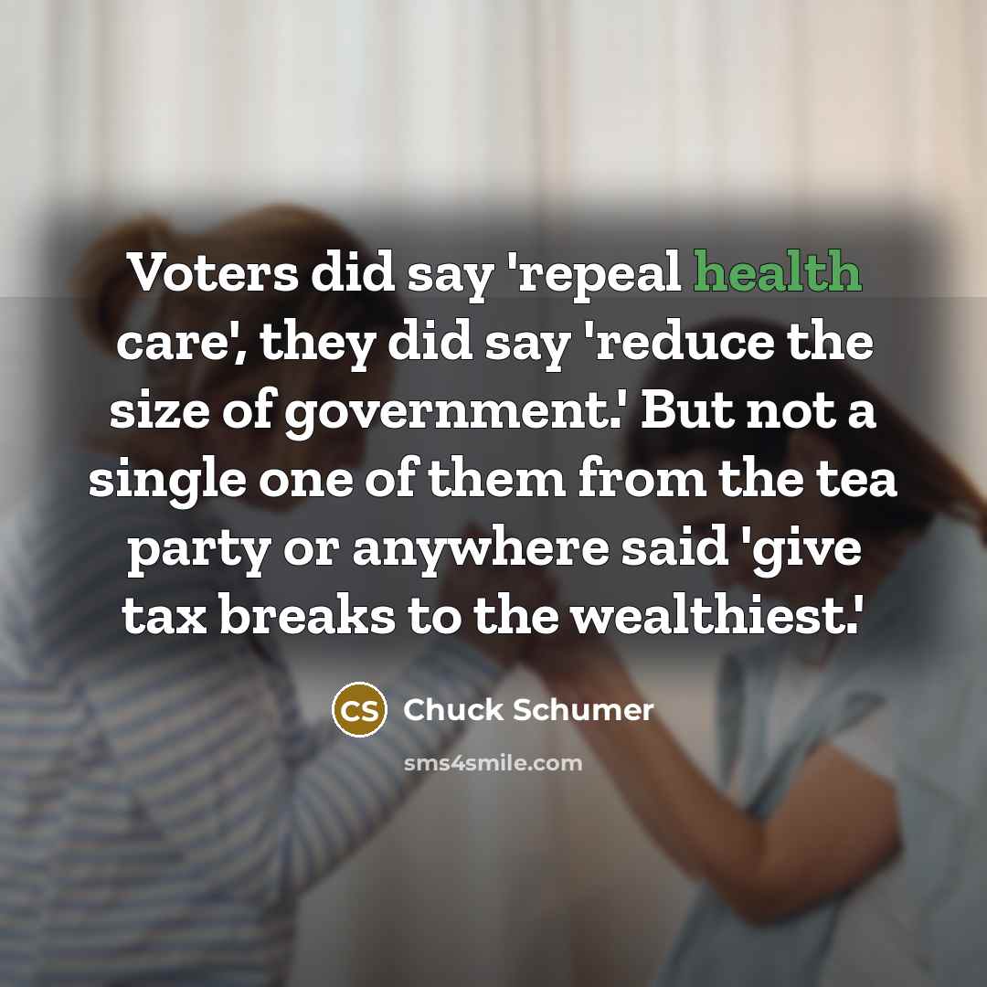 “Voters did say 'repeal health care', they did say 'reduce…” quote by Chuck Schumer