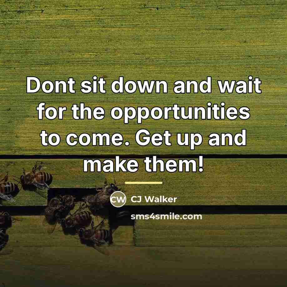 “Dont sit down and wait for the opportunities to come.…” quote by CJ Walker