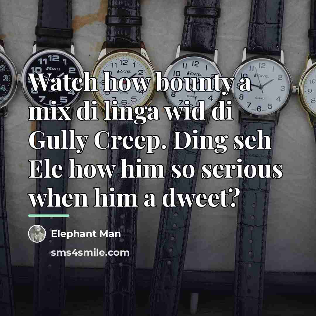 “Watch how bounty a mix di linga wid di Gully…” quote by Elephant Man