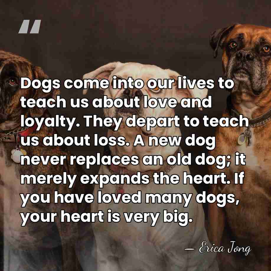 Dogs come into our lives to teach us about love and loyalty.&hellip; - Erica Jong