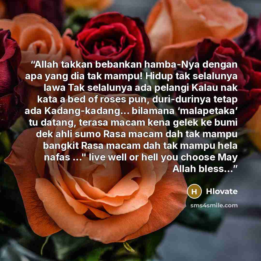 “Allah takkan bebankan hamba-Nya dengan apa yang dia tak mampu! Hidup tak selalunya lawa Tak selalunya ada pelangi Kalau nak kata a bed of roses pun, duri-durinya tetap ada Kadang-kadang... bilamana ‘malapetaka’ tu datang, terasa macam kena gelek ke bumi dek ahli sumo Rasa macam dah tak mampu…” quote by Hlovate