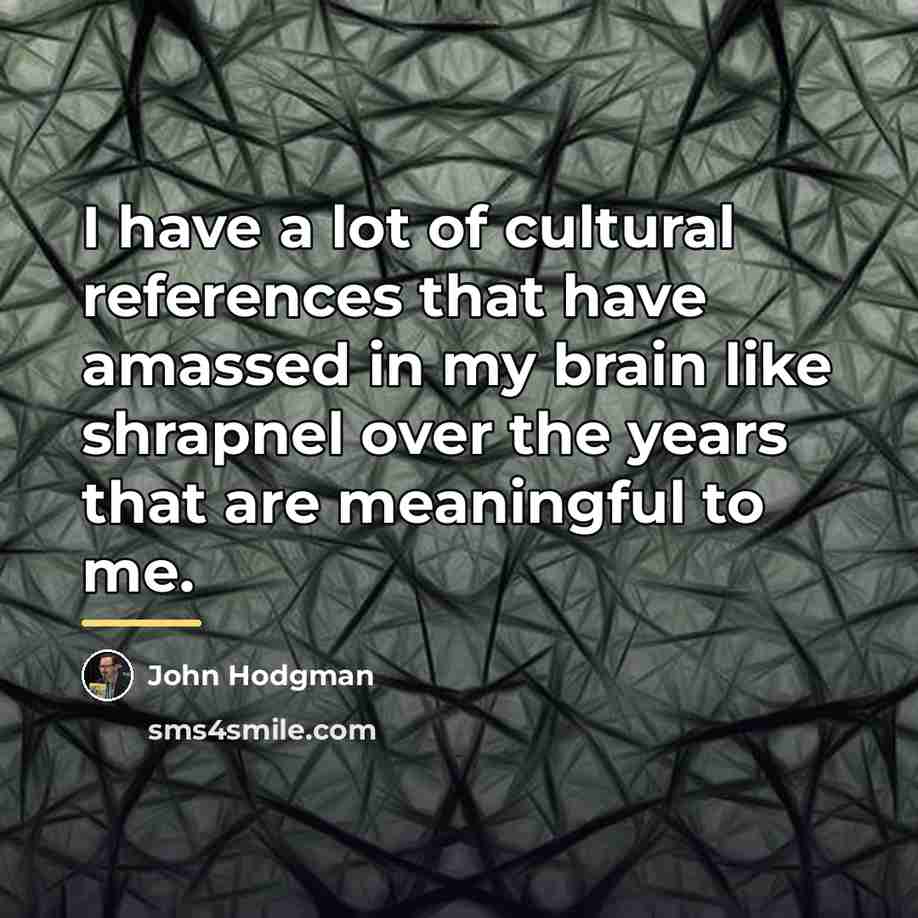 “I have a lot of cultural references that have amassed…” quote by John Hodgman
