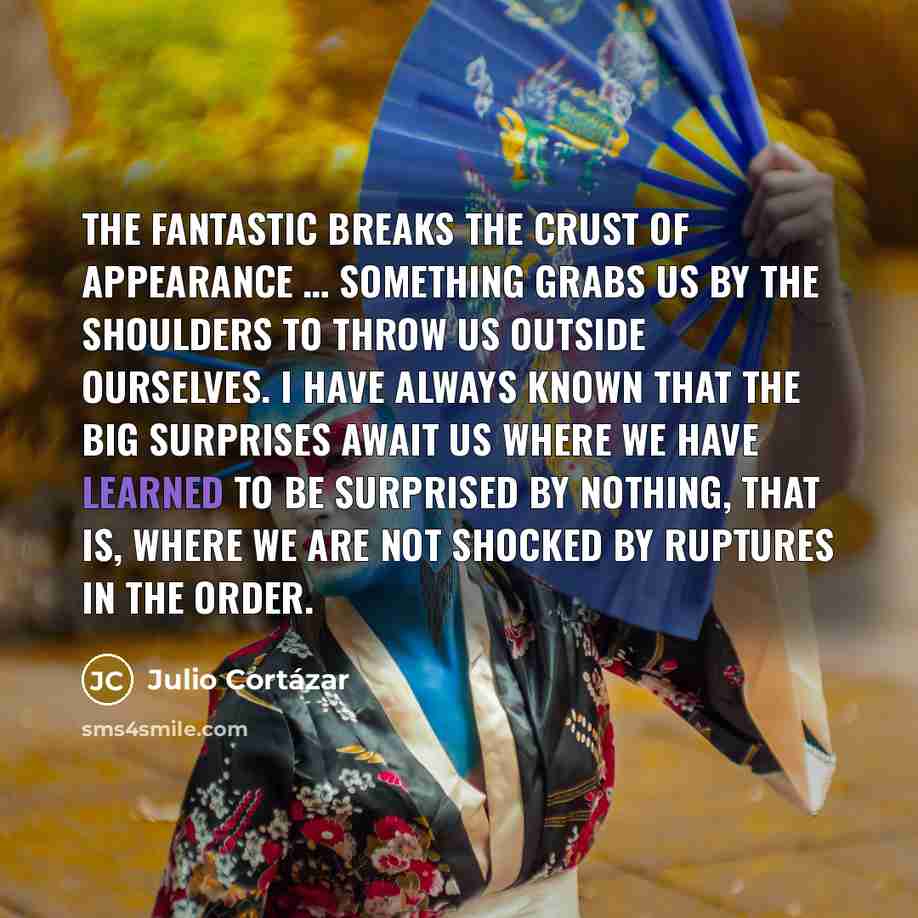 “The fantastic breaks the crust of appearance … something grabs…” quote by Julio Cortazar