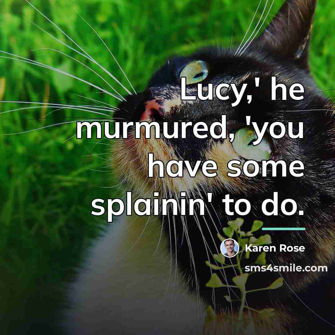 “Lucy,' he murmured, 'you have some splainin' to do.…” quote by Karen Rose